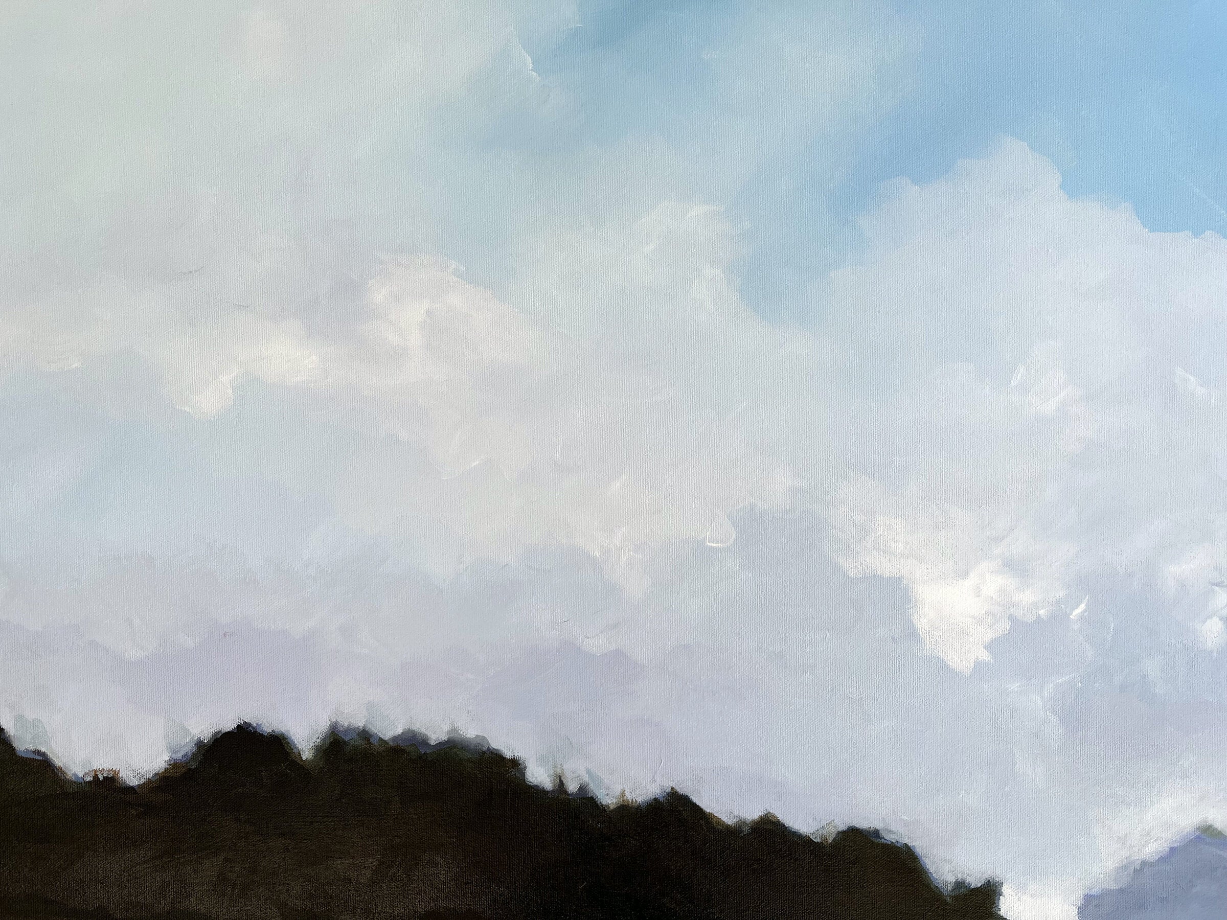 Morning Fog