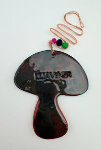 Lilia Venier's Mushroom Collection