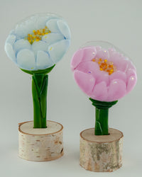 Peony Pair