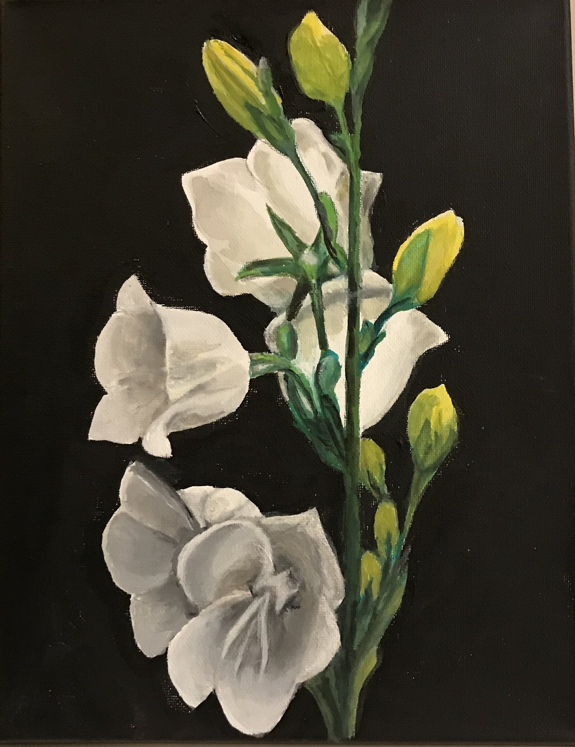 Vertical White Spray