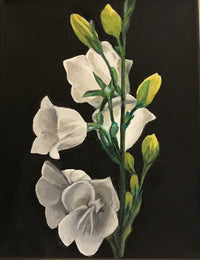 Vertical White Spray