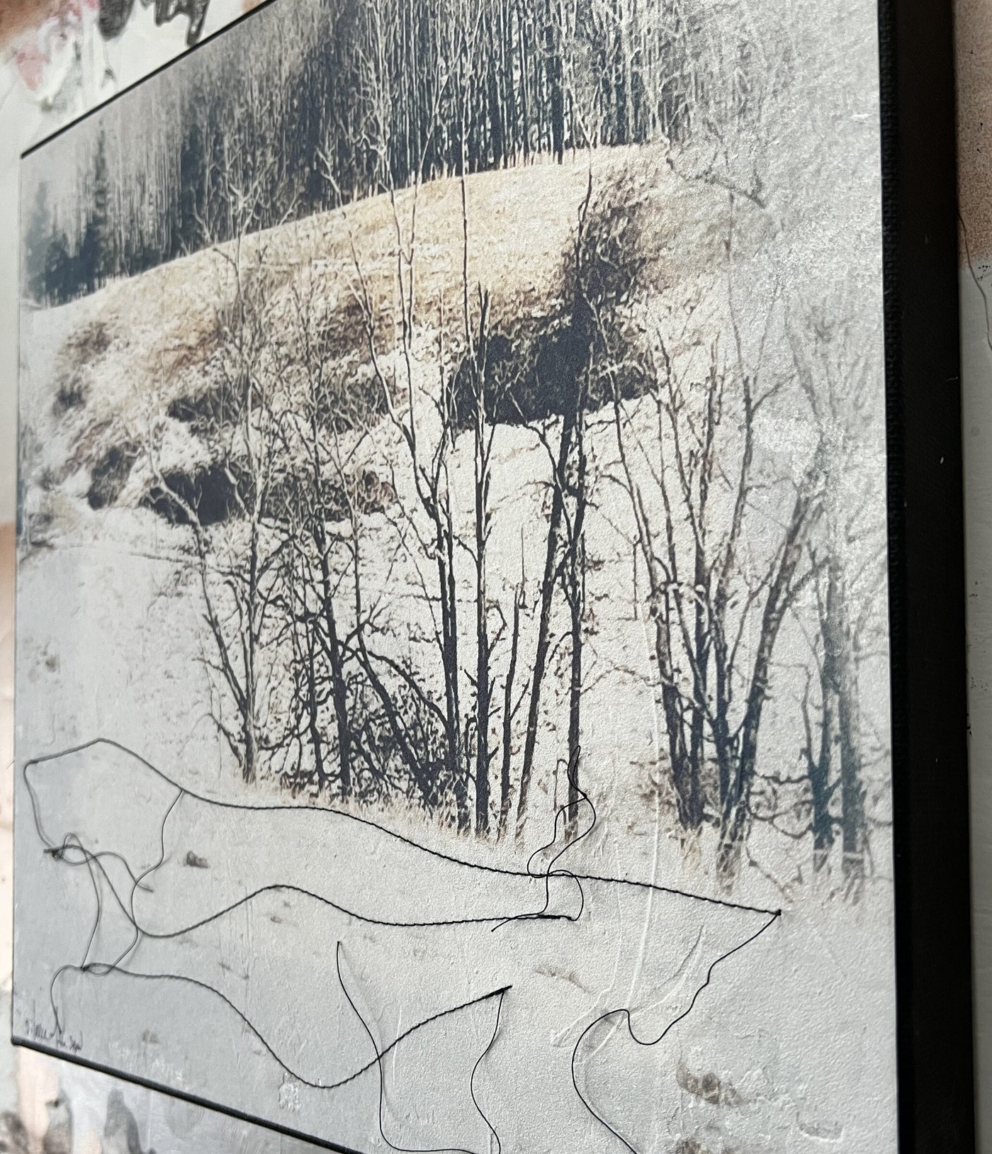 Silence of the Snow