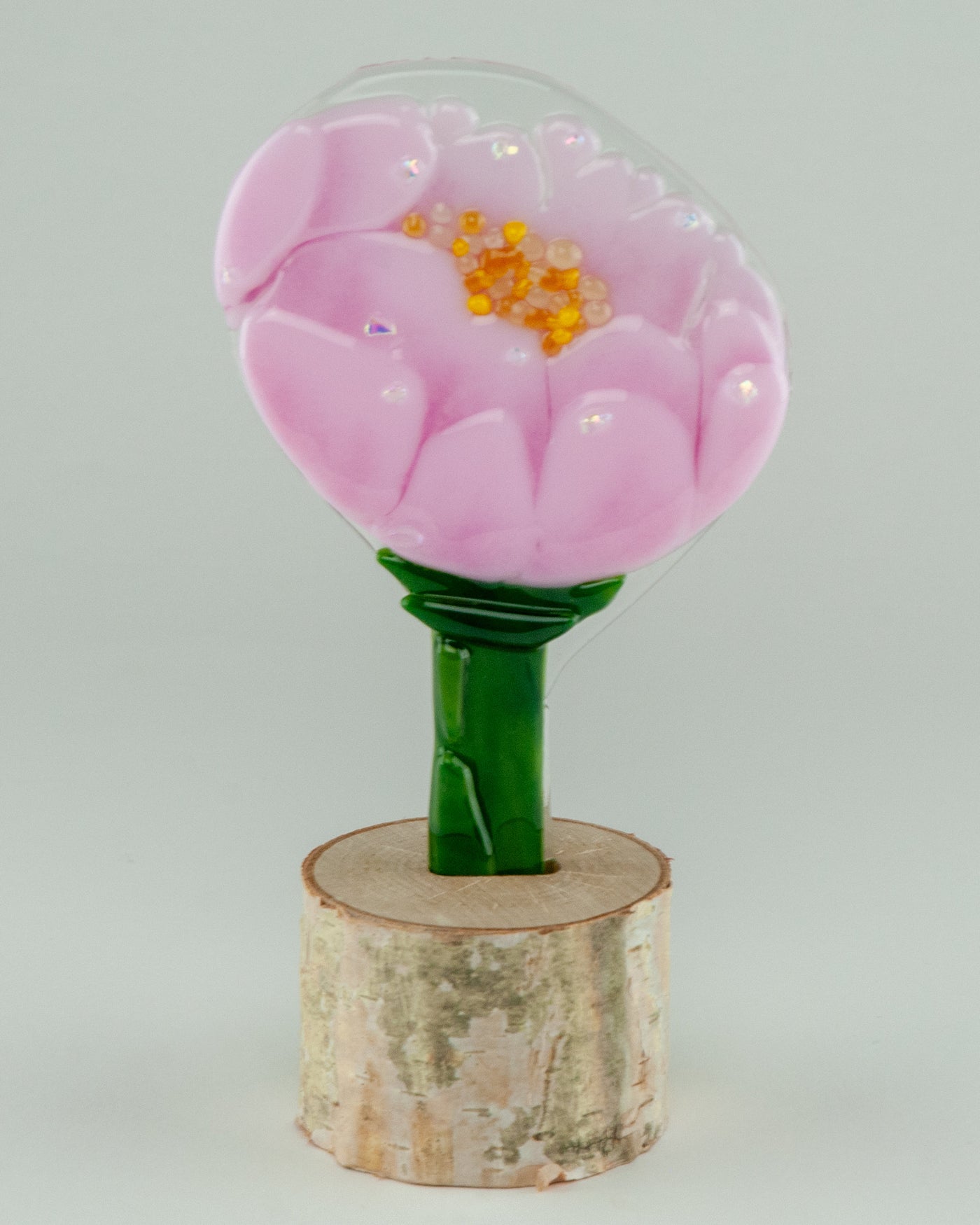 Blushing Bride Peony