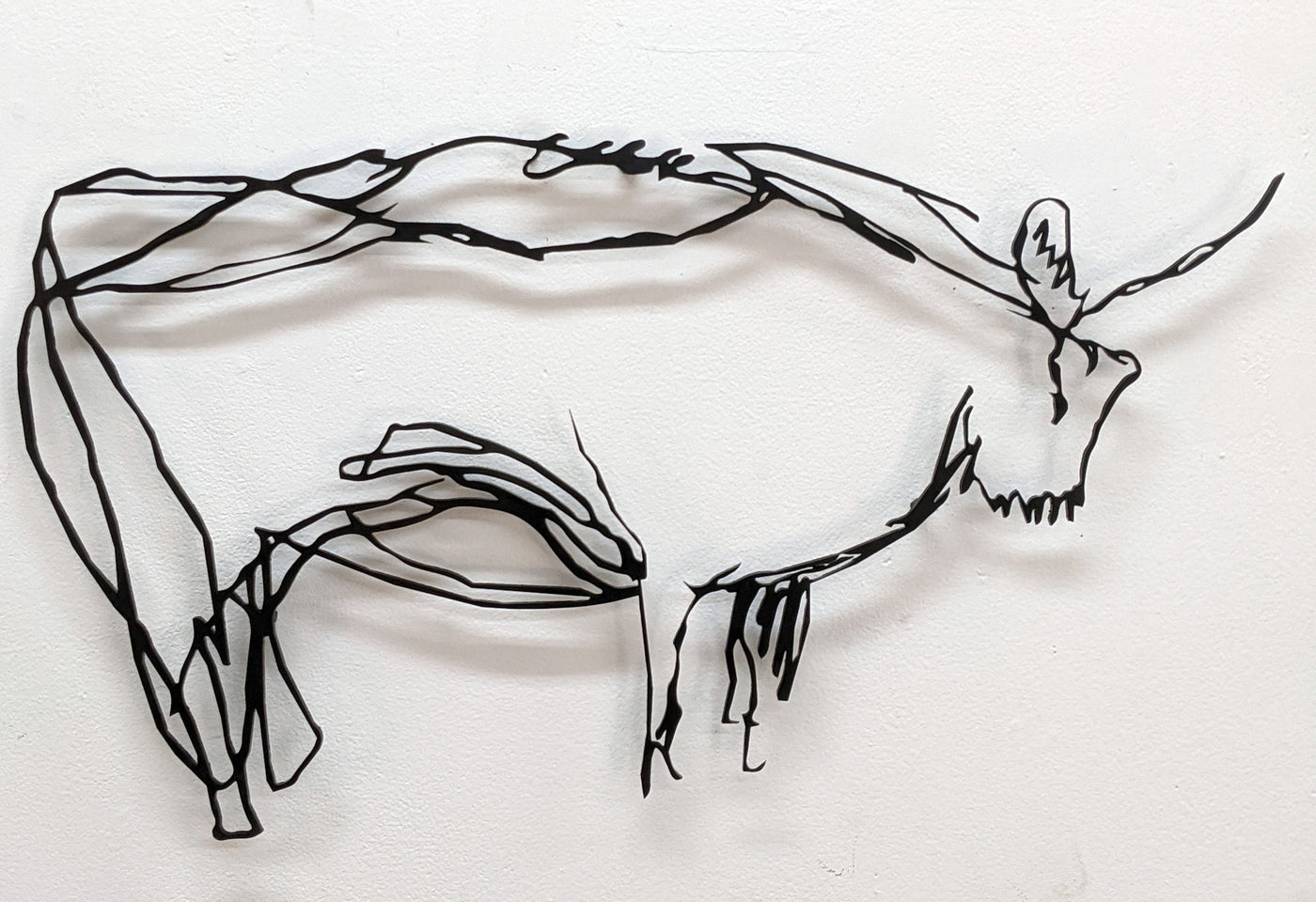 Bison