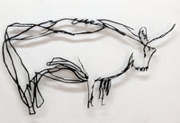 Bison