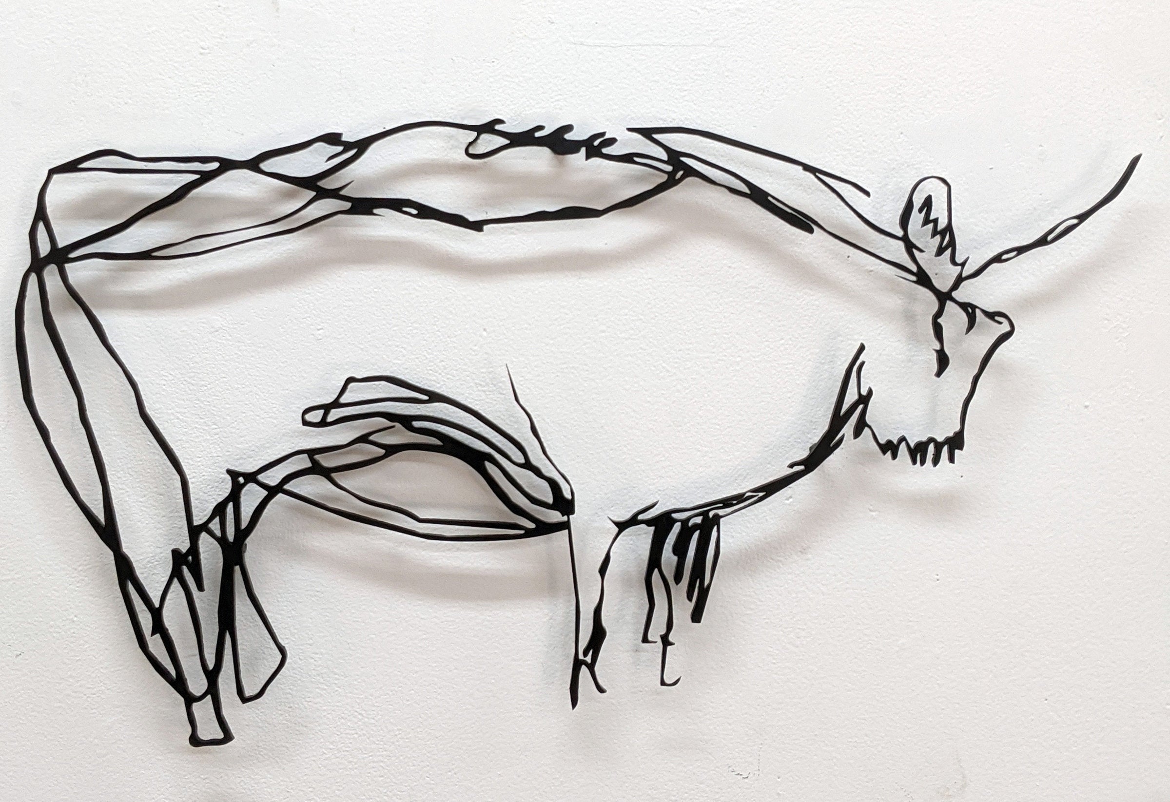 Bison