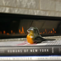 Birds of Beauty The Inspiring Robin