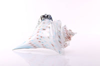 Atlantis Sea Shell