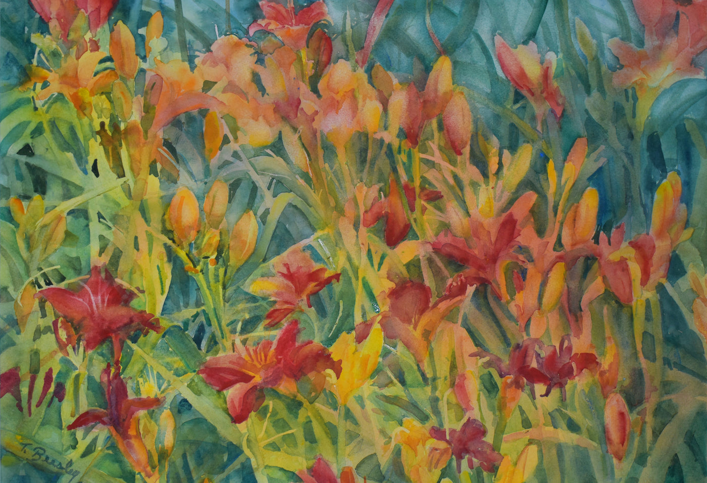 Dancing Daylilies