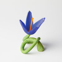 Admiral Forget-Me-Knot