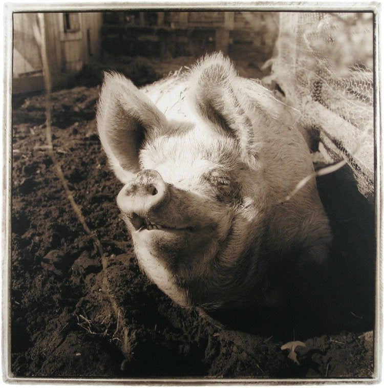 Pearly, 2000