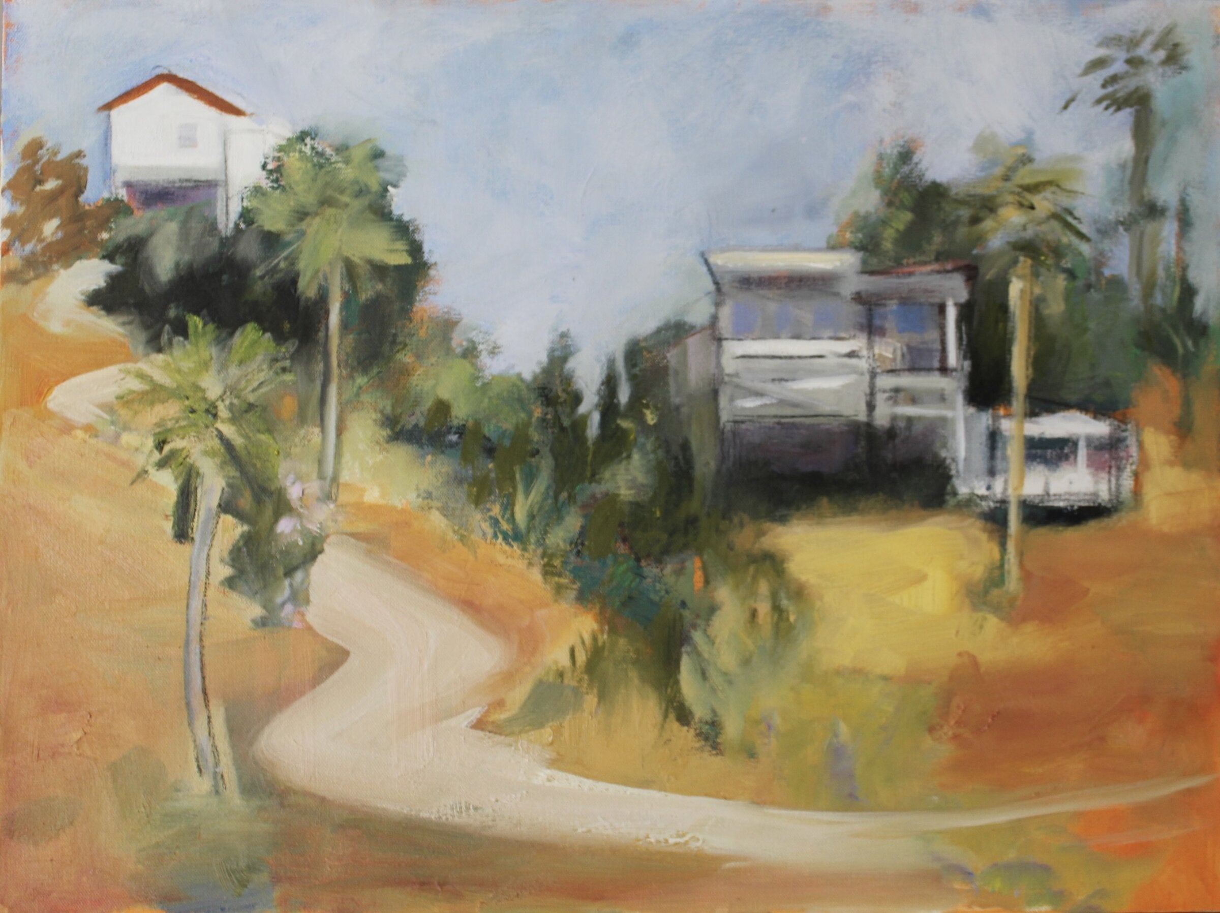 Houses with Palms
