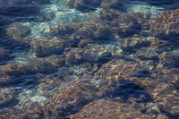 Tahoe Blues Three