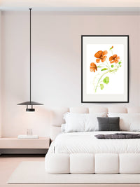 Nasturtium