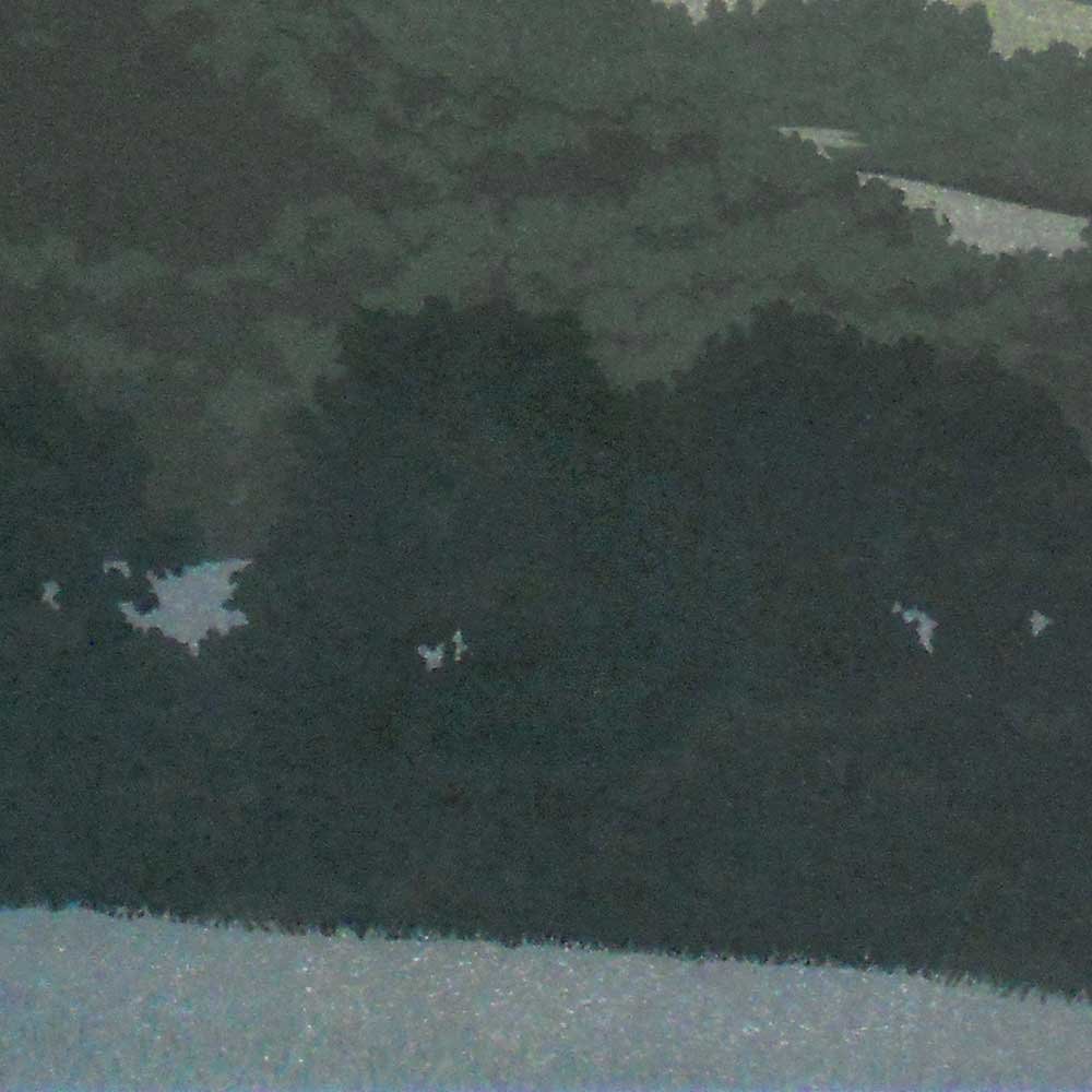 Summer Moon