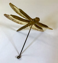 Brown Dragonfly with Amber Wings