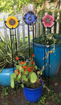 left to right: sunflower, pansy, hibiscus