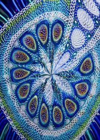 Cerulean Thread Foglio
