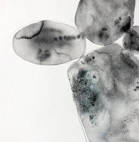 Experiment VI