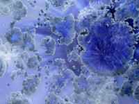 Lilac Blue Large Wall Bowl