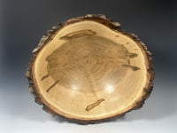 Natural Edge Ambrosia Maple Bowl