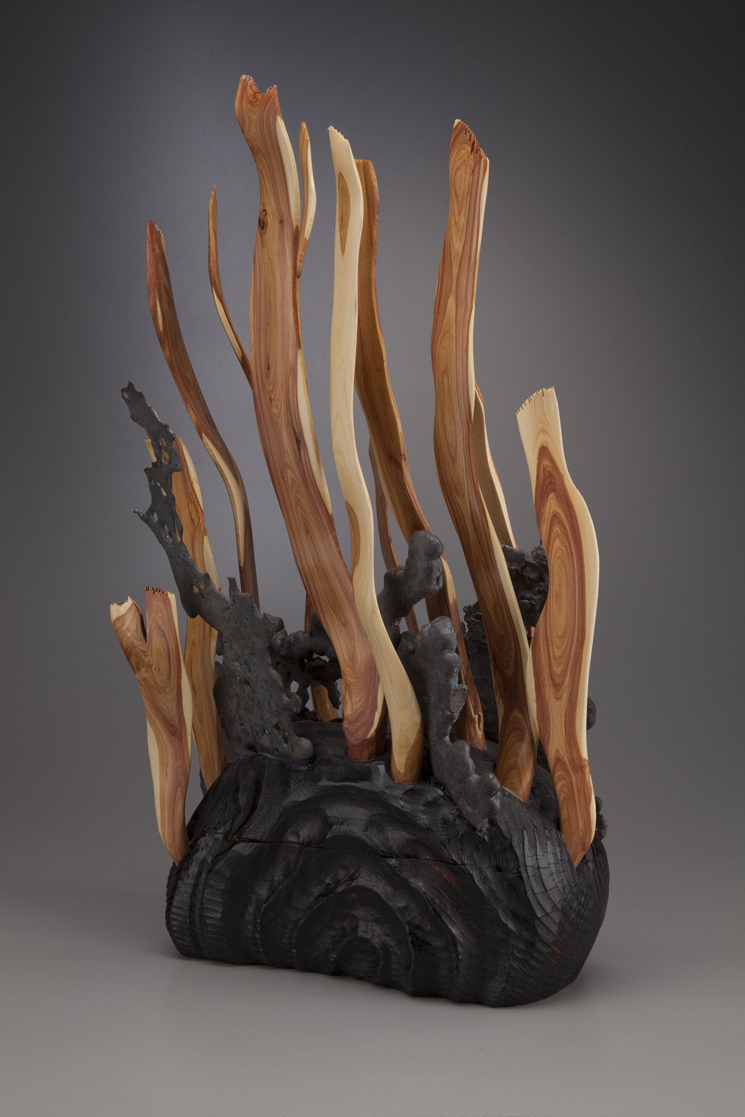Seaweed Sculpture