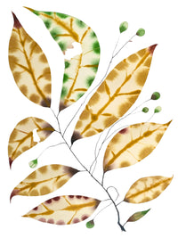 Un-Broken Botany