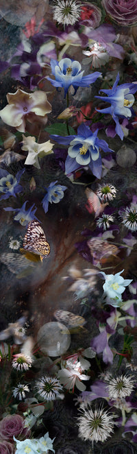 In the Night the Cabbages Catch at the Moon, the Leaves Drip Silver