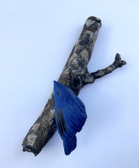 Blue Lullaby