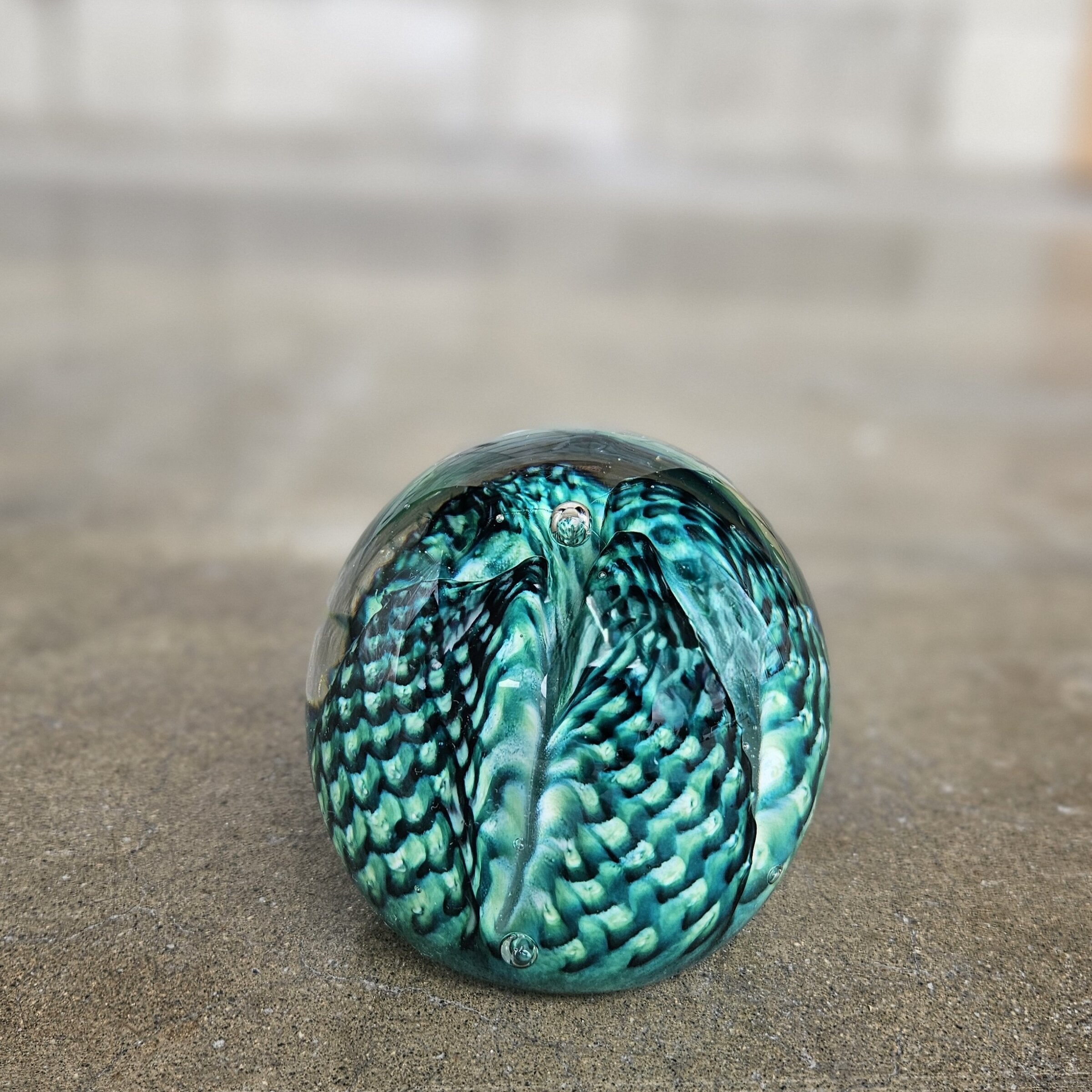 Reptile Puzzle