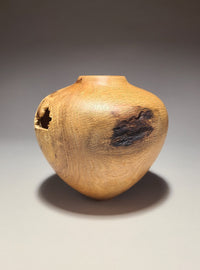 Survivor III