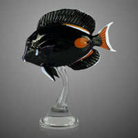 Achilles Tang