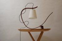 Bent Table Lamp in Walnut