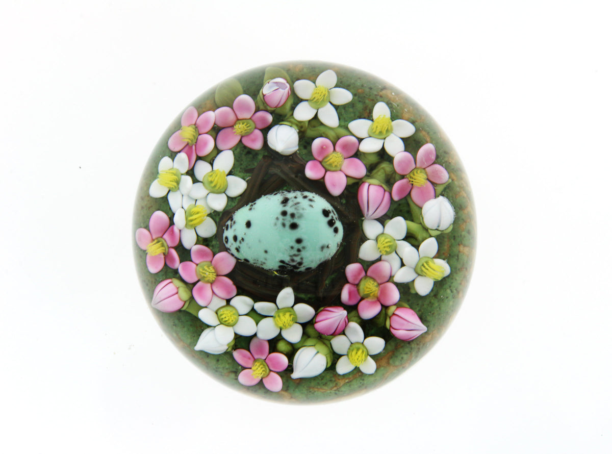 Single Robin's Egg in Nest Miniature Paperweight