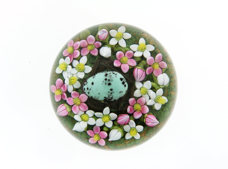 Single Robin's Egg in Nest Miniature Paperweight