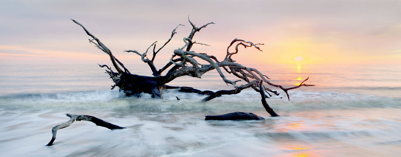 Jekyll Sunrise