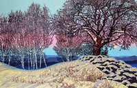 Spring Morning