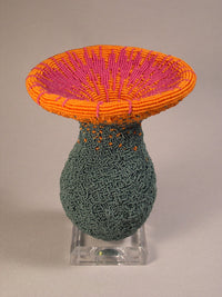Starburst Sea Anemone Bloom