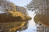 Turtle Cove