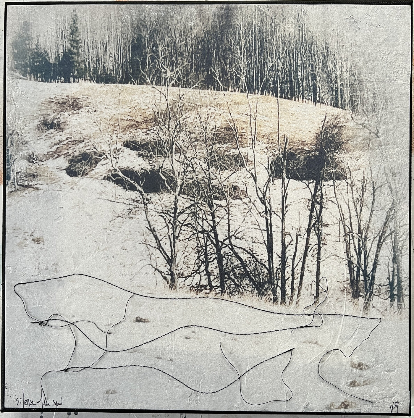 Silence of the Snow