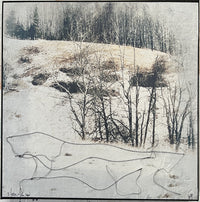 Silence of the Snow