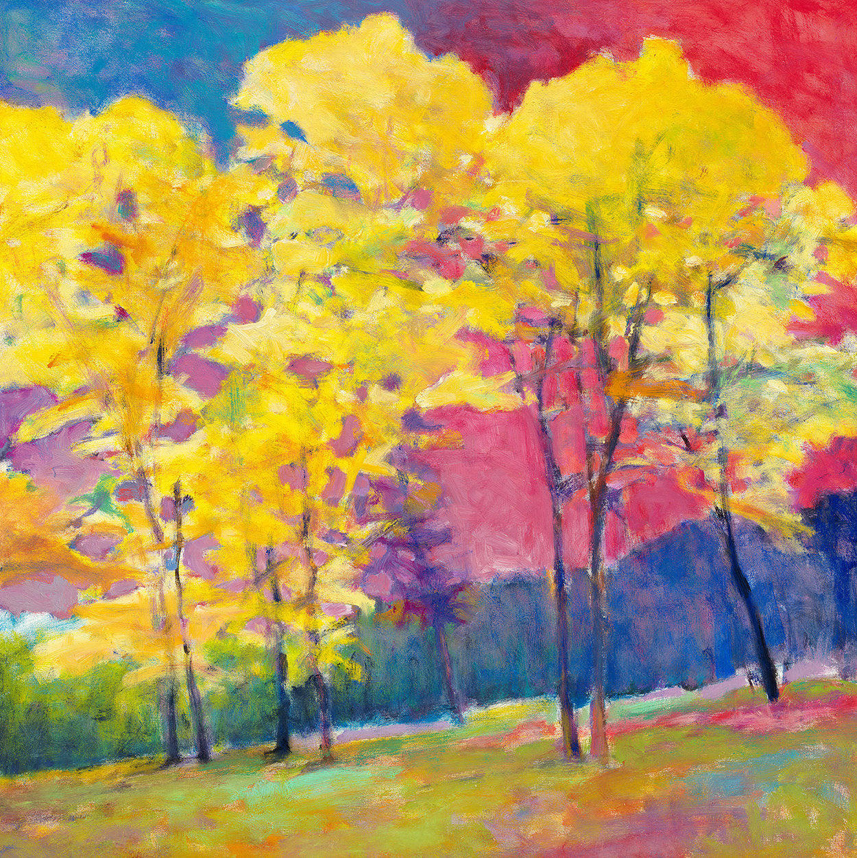 Insistent Yellows