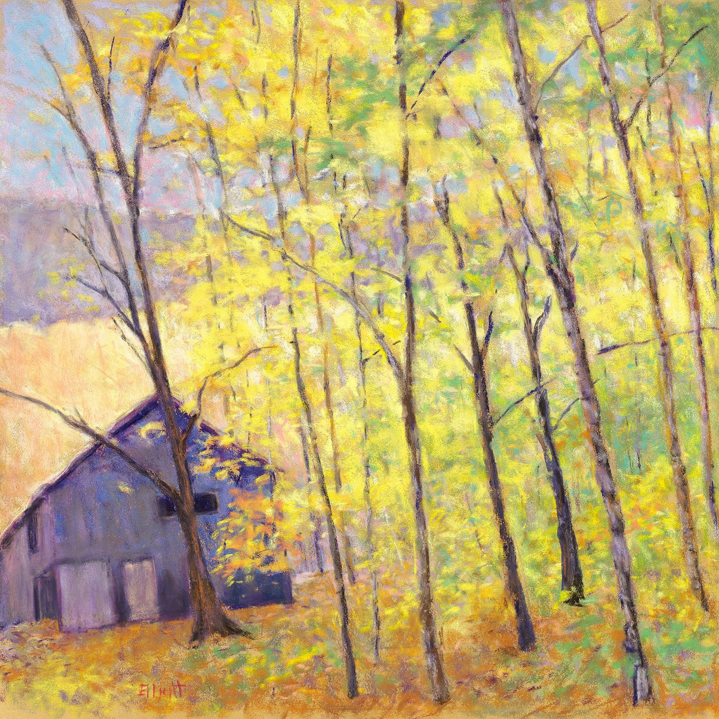 Barn at the Edge of the Woods