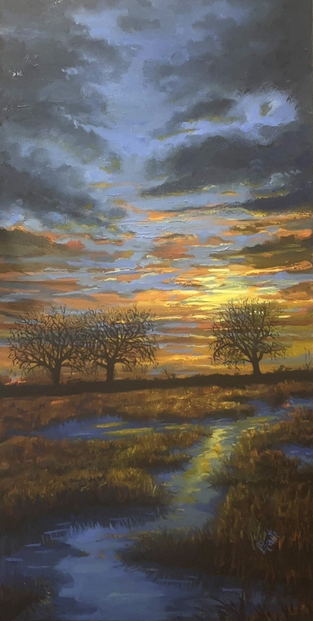 Dusk in the Shallows