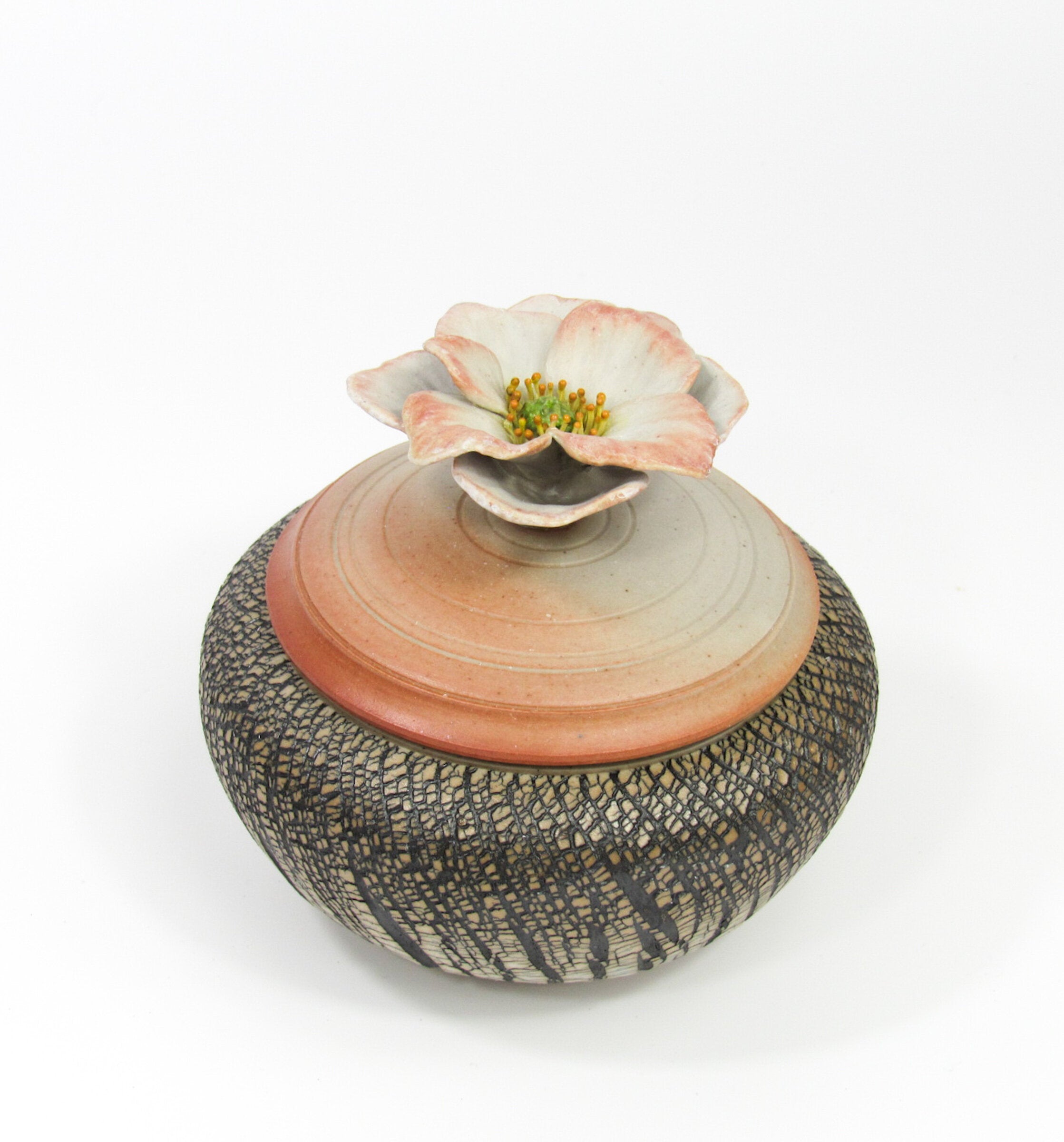 Anemone Blossom