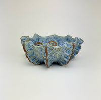 Reef I
