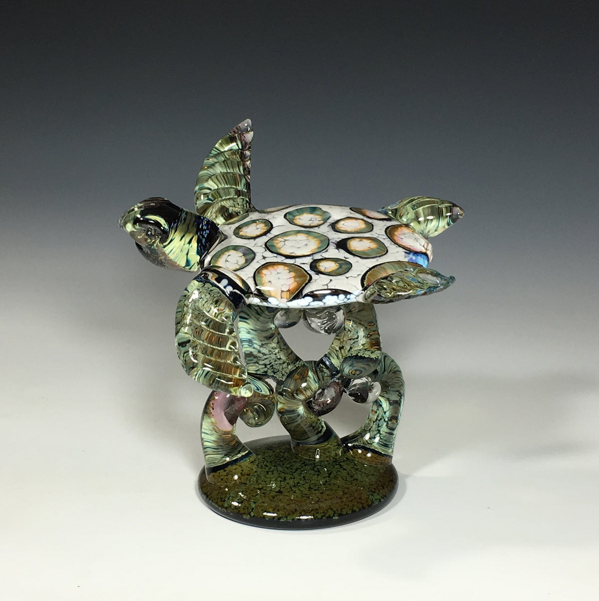 White Barnacle Turtle on Green Coral