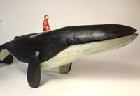 Whale: Finback/Desire