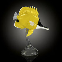 Forceps Nose Butterflyfish