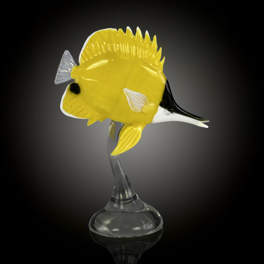 Forceps Nose Butterflyfish